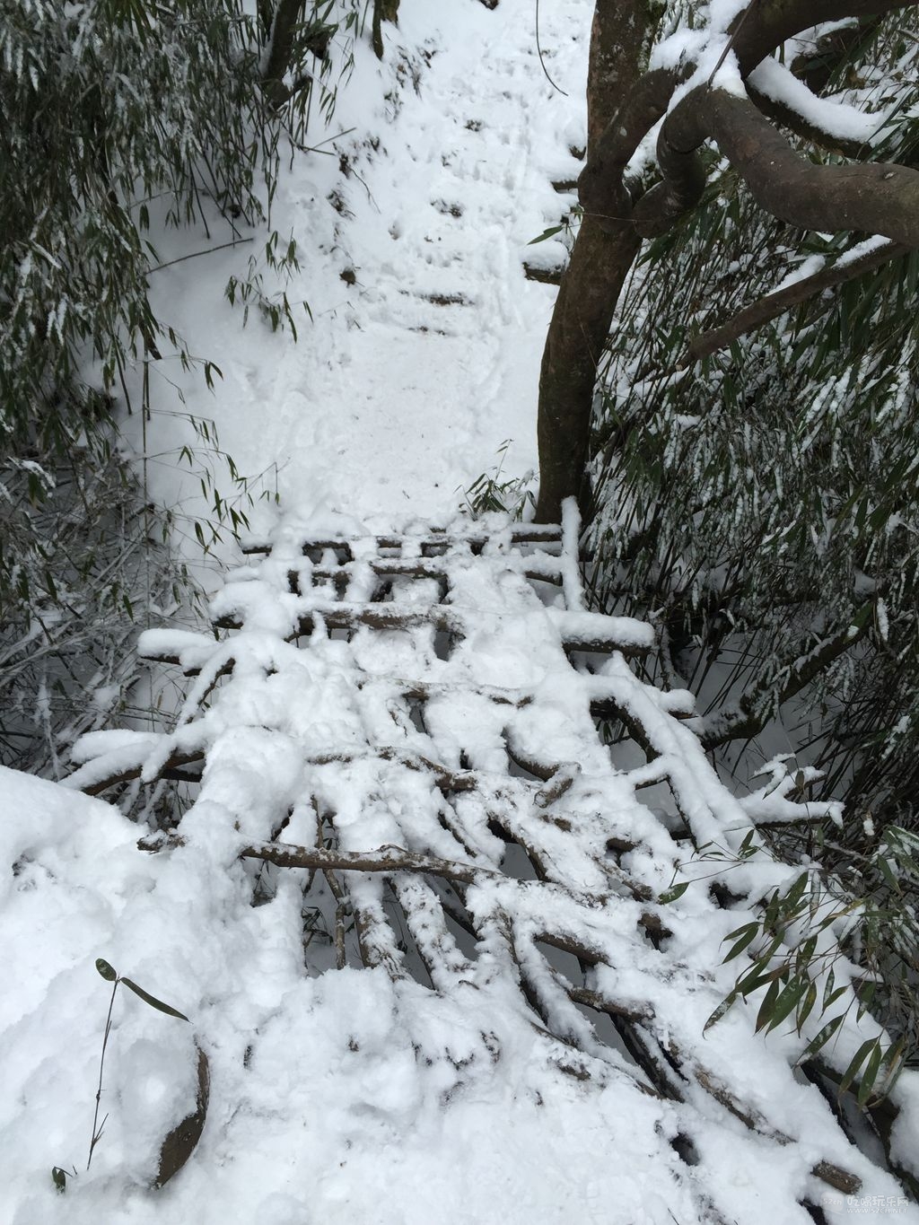 赵公山耍雪