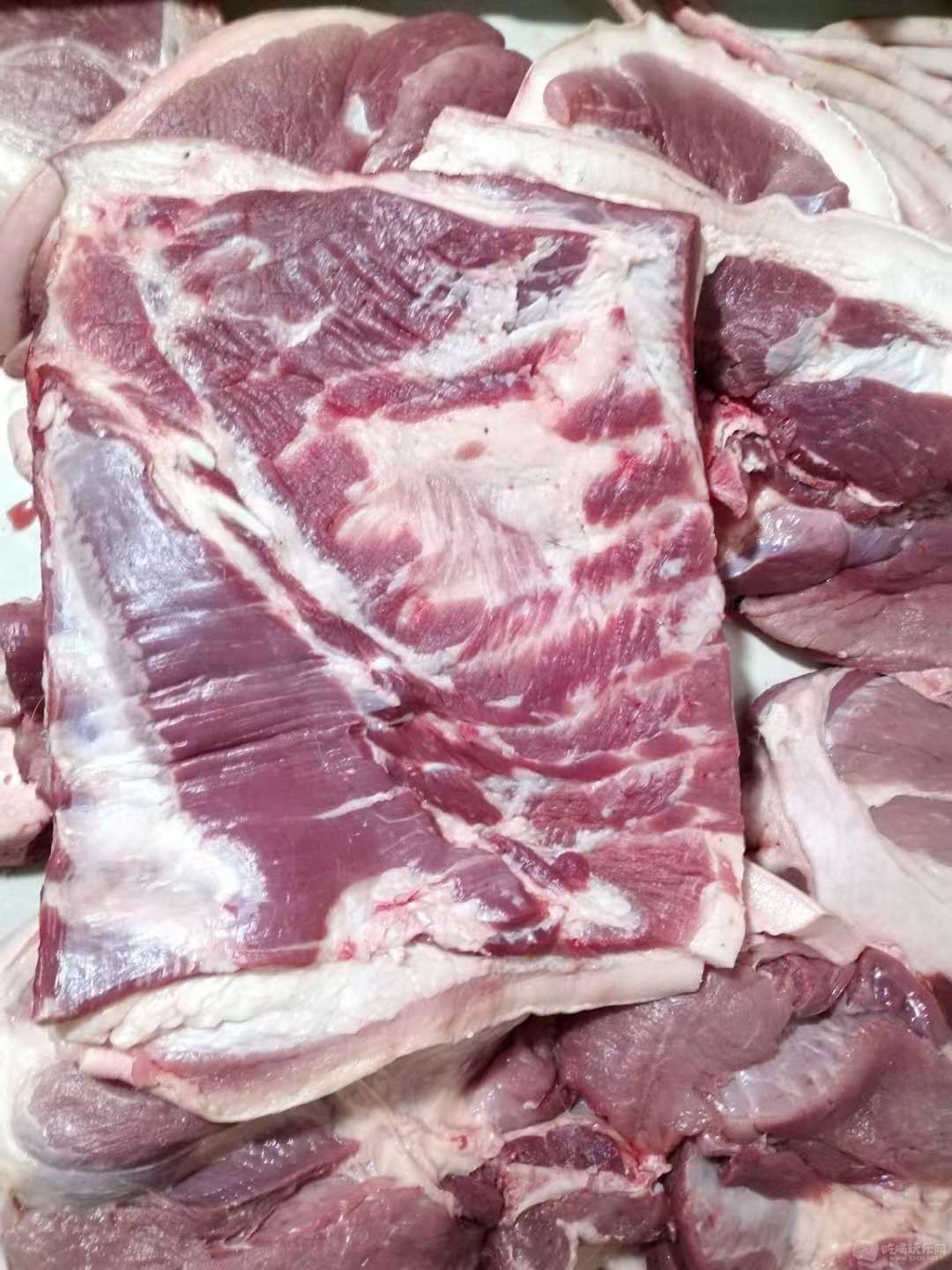 优质原肉