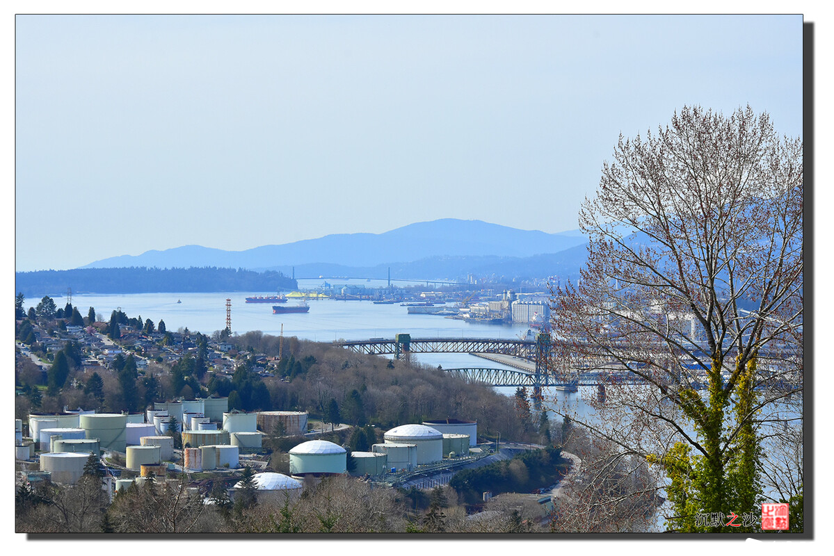 2021年4月7日 本拿比山看樱花11.jpg